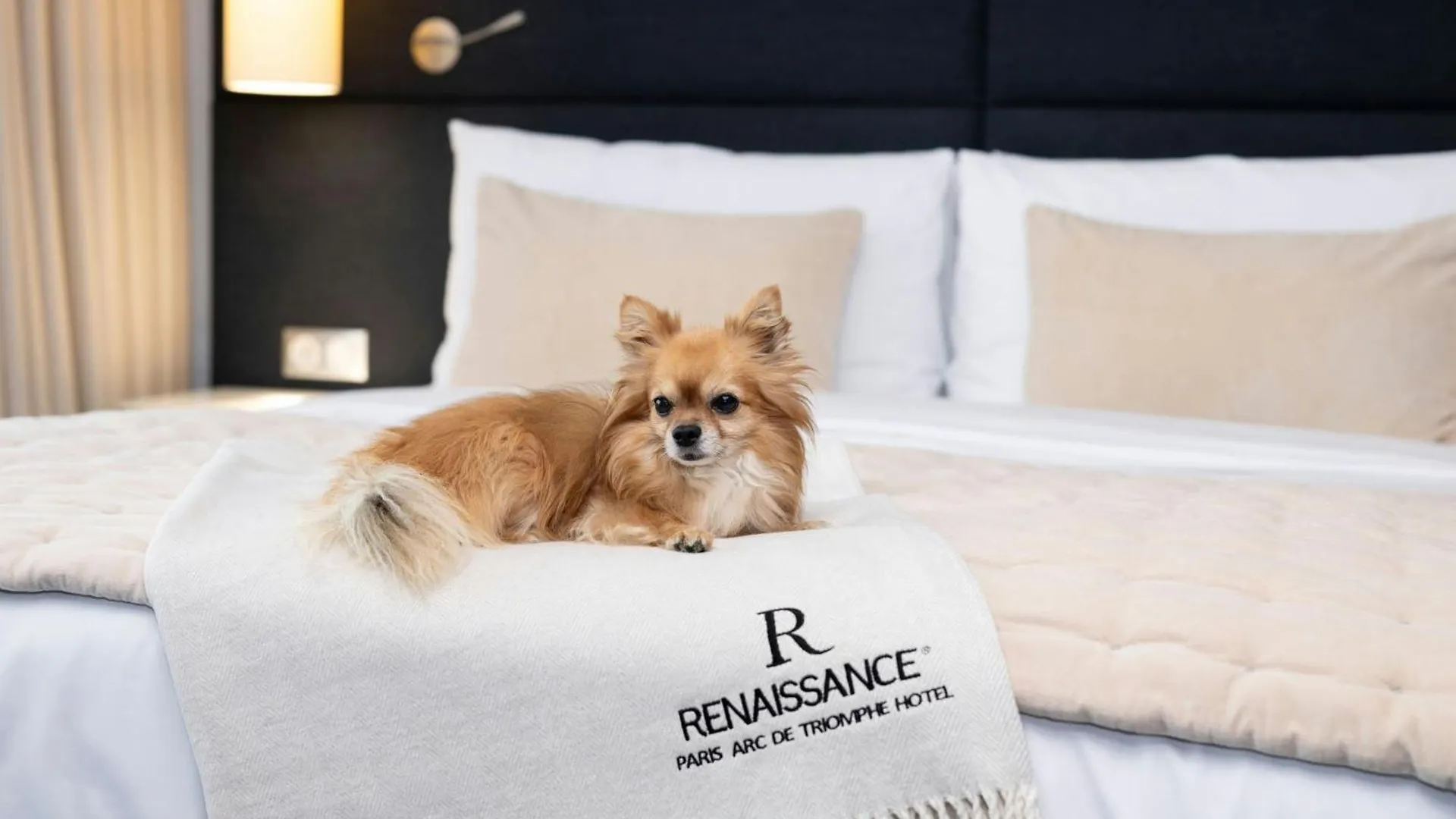 Hotel Renaissance Arc De Triomphe